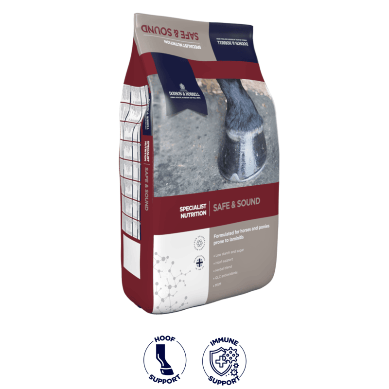 Dodson & Horrell Safe & Sound