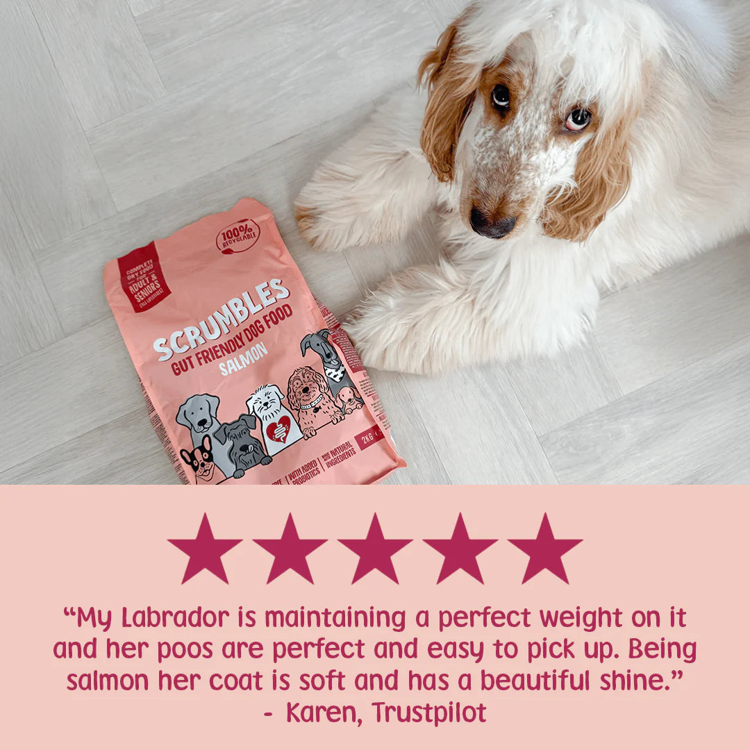 Scrumbles Salmon Dry Dog Food