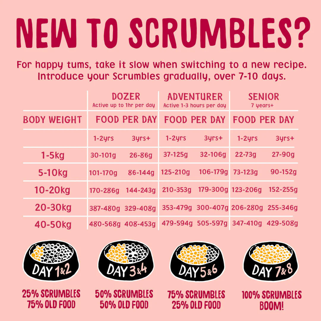 Scrumbles Salmon Dry Dog Food