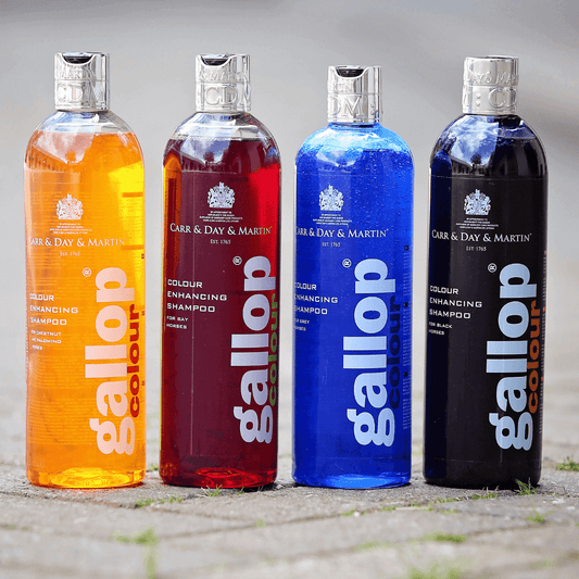 Gallop® Colour Shampoo