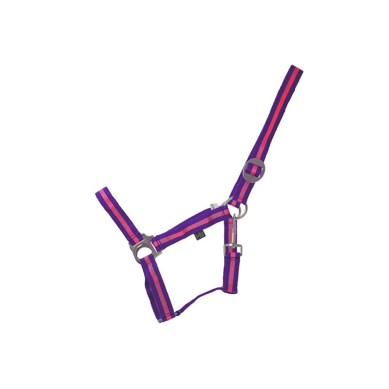 Hy Equestrian Duo Head Collar