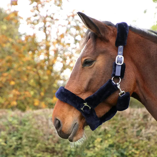 Hy Equestrian Fab Fleece Headcollar