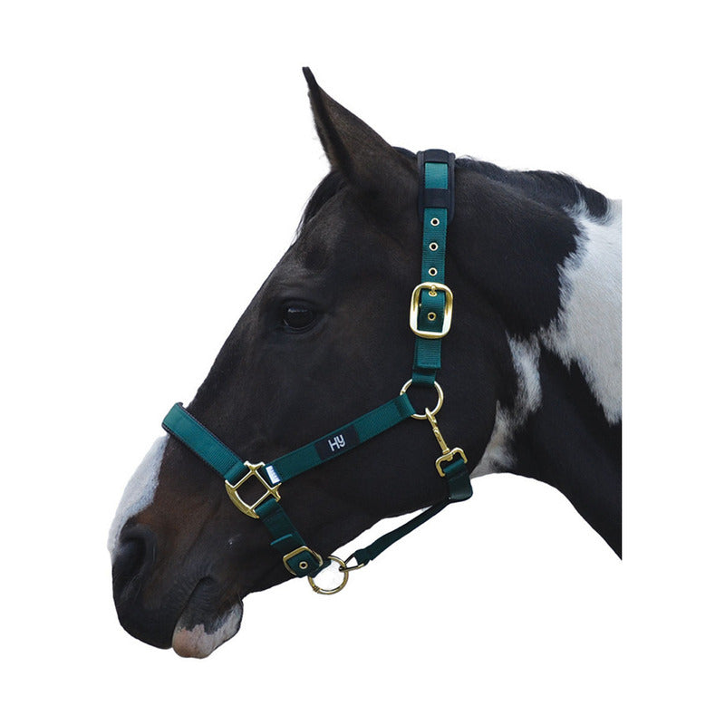 Hy Equestrian Deluxe Padded Headcollar