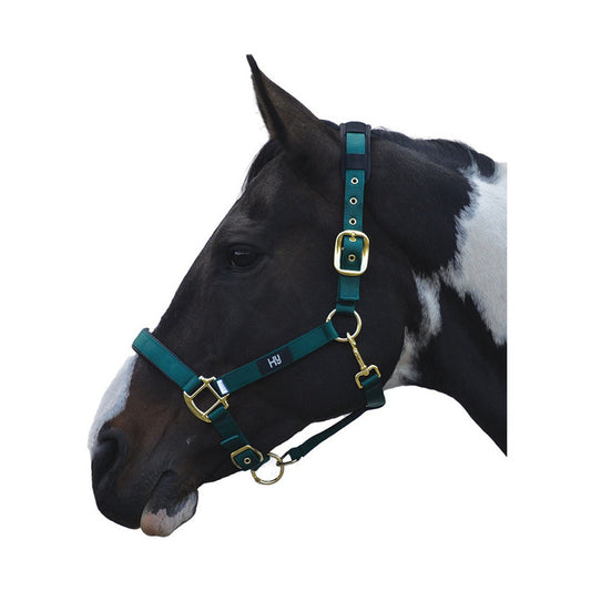Hy Equestrian Deluxe Padded Headcollar