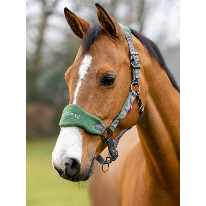 Le Mieux Vogue Headcollar