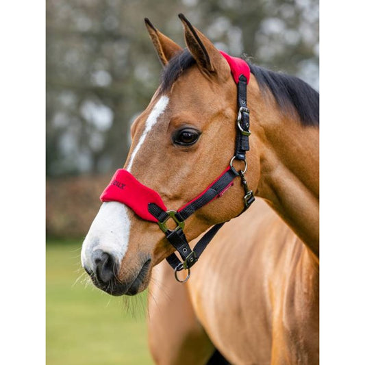 Le Mieux Vogue Headcollar