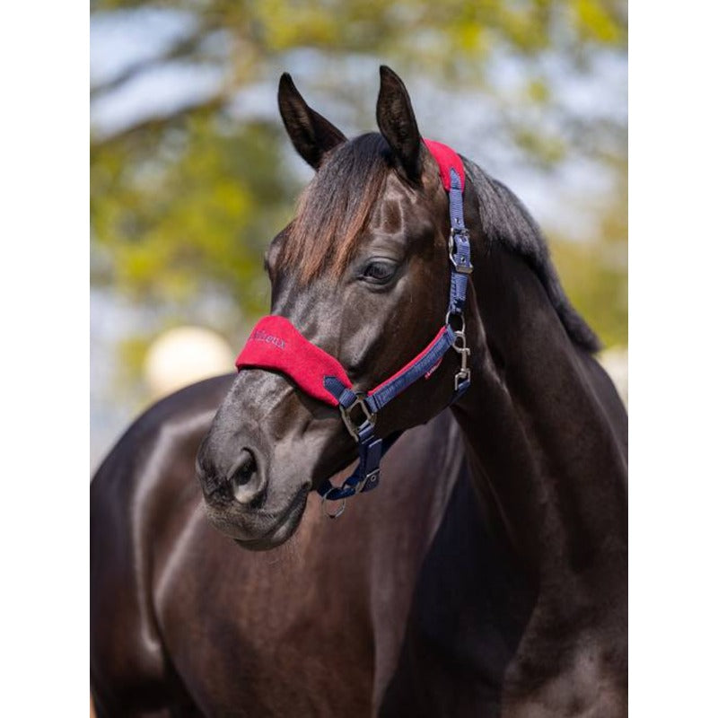 Le Mieux Vogue Headcollar