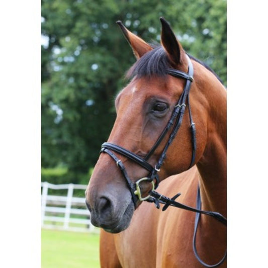 Gallop Padded Bridle & Rubber Reins