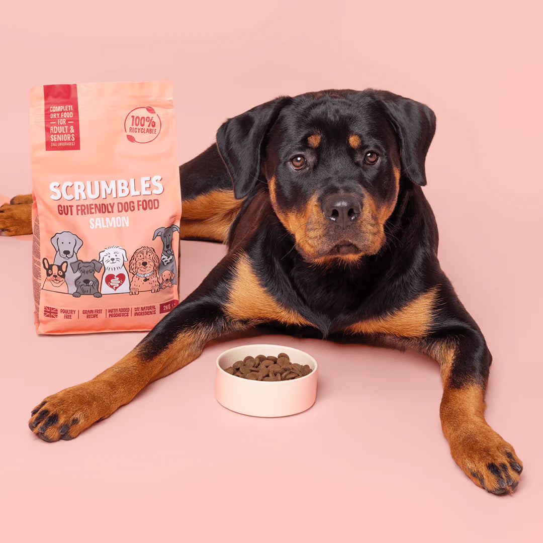 Scrumbles Salmon Dry Dog Food