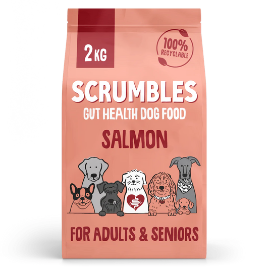 Scrumbles Salmon Dry Dog Food