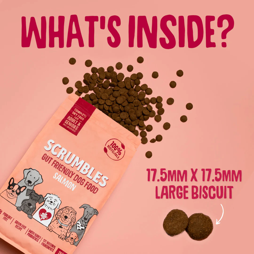 Scrumbles Salmon Dry Dog Food