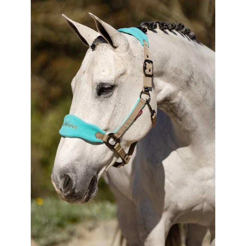 Le Mieux Vogue Headcollar