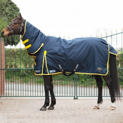 Gallop Trojan 200g Medium Weight Combo Turnout