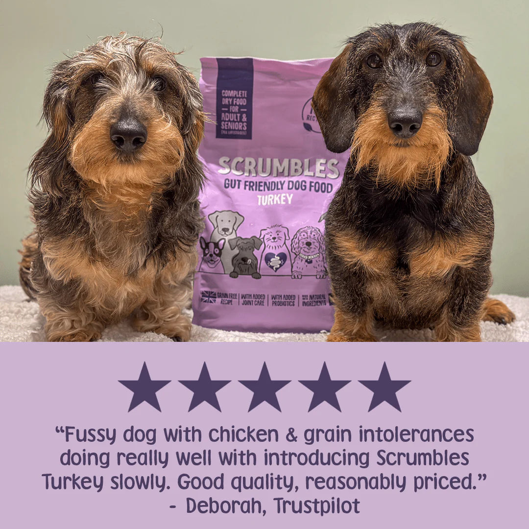 Scrumbles Turkey Dry Dog Food
